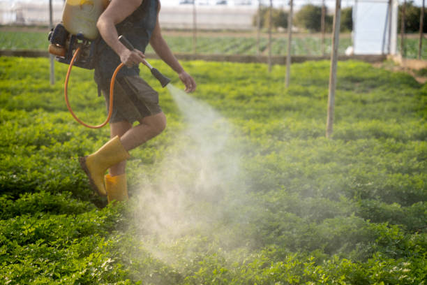 Best Mosquito Control Services  in Texarkana, TX